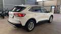 Ford Kuga 2,5 Duratec FHEV Titanium X Aut. Weiß - thumbnail 14