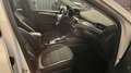 Ford Kuga 2,5 Duratec FHEV Titanium X Aut. Weiß - thumbnail 11