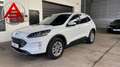 Ford Kuga 2,5 Duratec FHEV Titanium X Aut. Weiß - thumbnail 1