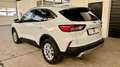 Ford Kuga 2,5 Duratec FHEV Titanium X Aut. Weiß - thumbnail 4