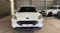 Ford Kuga 2,5 Duratec FHEV Titanium X Aut. Weiß - thumbnail 2