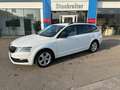 Skoda Octavia Combi 2,0 4x4 DSG*LED*NAVI*TEMPO*SZH Weiß - thumbnail 1