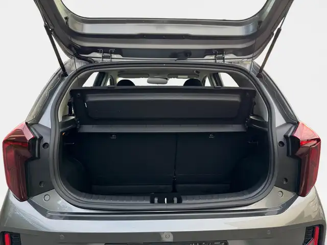 Kia Picanto view 11