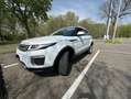 Land Rover Range Rover Evoque Range Rover Evoque I 2016 5p 2.0 td4 150cv auto Bianco - thumbnail 4