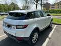 Land Rover Range Rover Evoque Range Rover Evoque I 2016 5p 2.0 td4 150cv auto Bianco - thumbnail 1