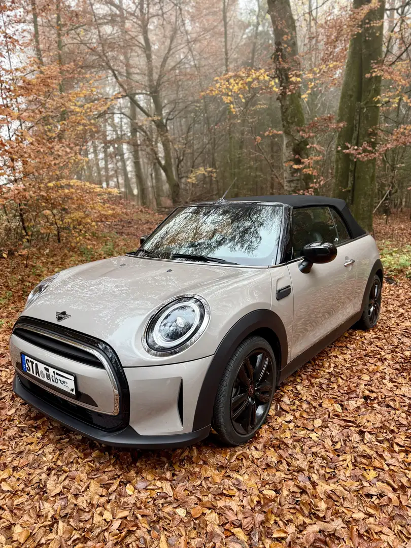 MINI Cooper Cabrio Aut. Classic Trim - 1