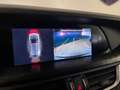 Alfa Romeo Stelvio 2.2 Business td Q4 190cv 3000 EURO OPT!! Grigio - thumbnail 7