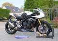 Triumph Speed Triple 1200 RR Crystal white storm 85 Kw Білий - thumbnail 2