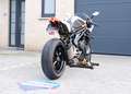 Triumph Speed Triple 1200 RR Crystal white storm 85 Kw Білий - thumbnail 6