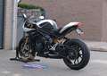 Triumph Speed Triple 1200 RR Crystal white storm 85 Kw Білий - thumbnail 9