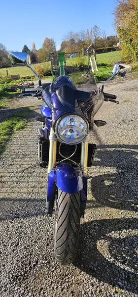 Honda Hornet