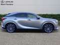 Lexus RX 450h Executive Line+cam+nav+sens V& Goud - thumbnail 3