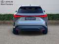 Lexus RX 450h Executive Line+cam+nav+sens V& Goud - thumbnail 6