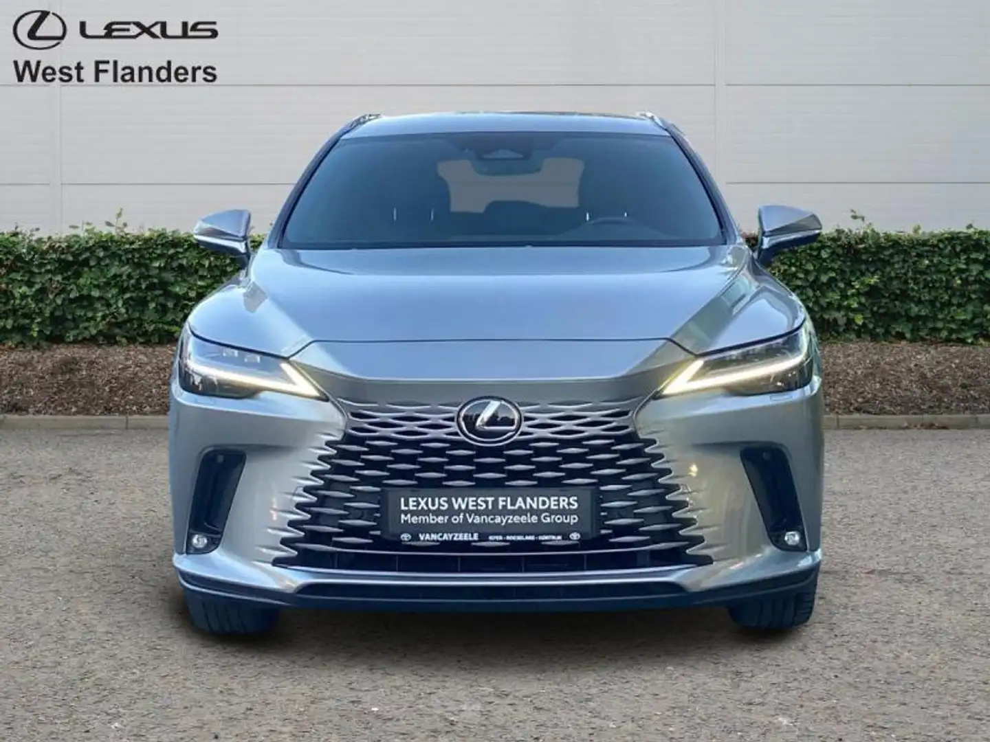 Lexus RX 450h Executive Line+cam+nav+sens V& Goud - 2