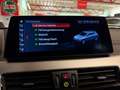 BMW X2 xDrive 18 d Advantage 1 Besitz Panorama Orange - thumbnail 33