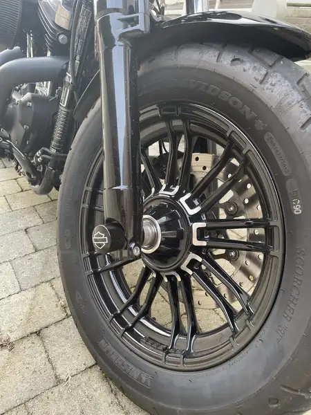 Harley-Davidson Sportster Forty Eight - foto 8