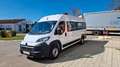 Fiat Ducato Opel Movano gleich Ducato Bürgerbus Niederflur R Weiß - thumbnail 19