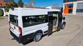 Fiat Ducato Opel Movano gleich Ducato Bürgerbus Niederflur R Weiß - thumbnail 17