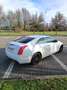 Cadillac ATS Coupé 2.0 Turbo RWD Luxury - thumbnail 4