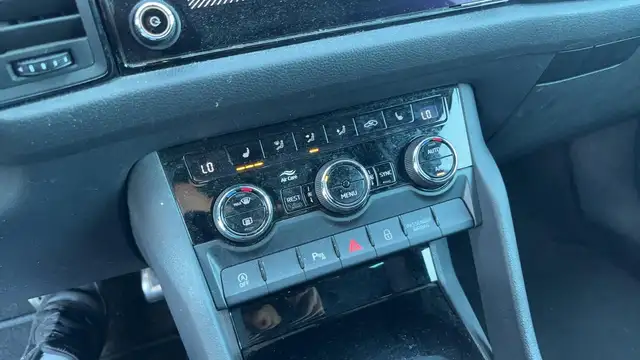 Skoda Kodiaq view 17