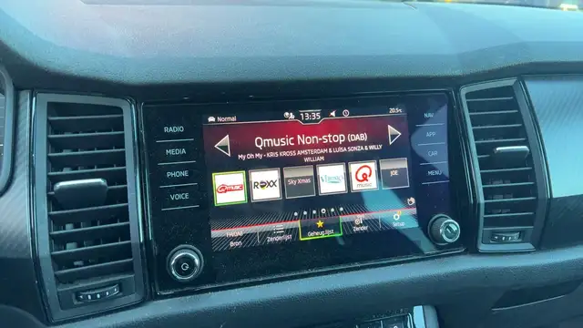 Skoda Kodiaq view 15