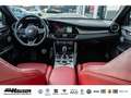 Alfa Romeo Giulia Veloce 2.0 Turbo AT8 Q4 PANO HARMAN-KARDON MEMORY Noir - thumbnail 14