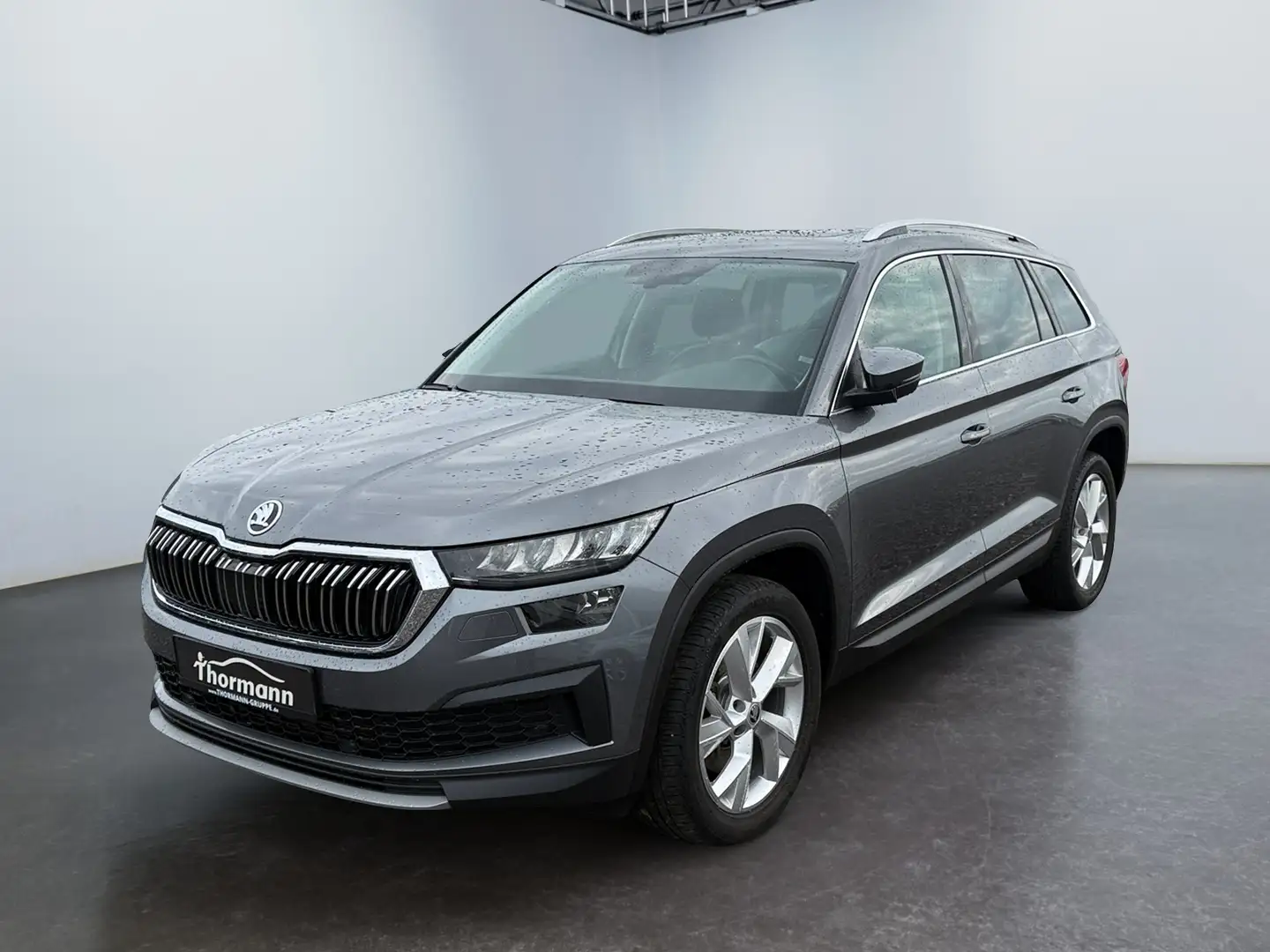 Skoda Kodiaq Style 2.0 TDI 4x4 DSG Rückfahrk Pano ELHK Grigio - 2