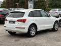 Audi Q5 2.0 TDI (125 kW) quattro Blanc - thumbnail 6