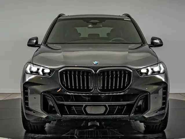 BMW X5 X5 view 7