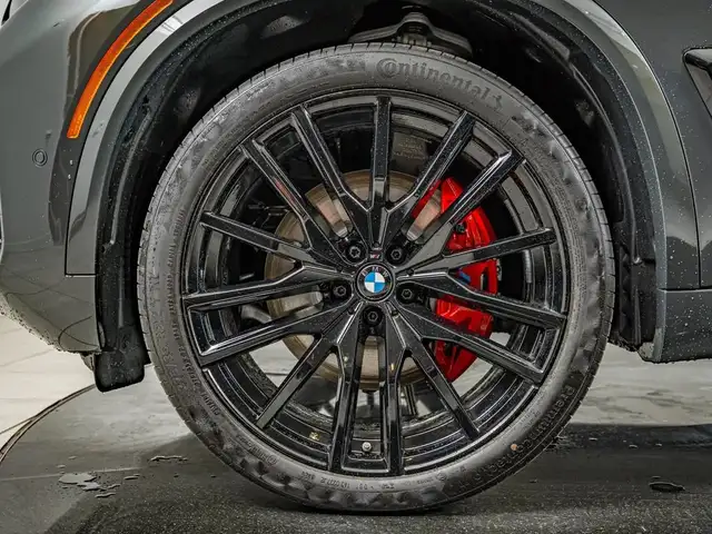 BMW X5 X5 view 9