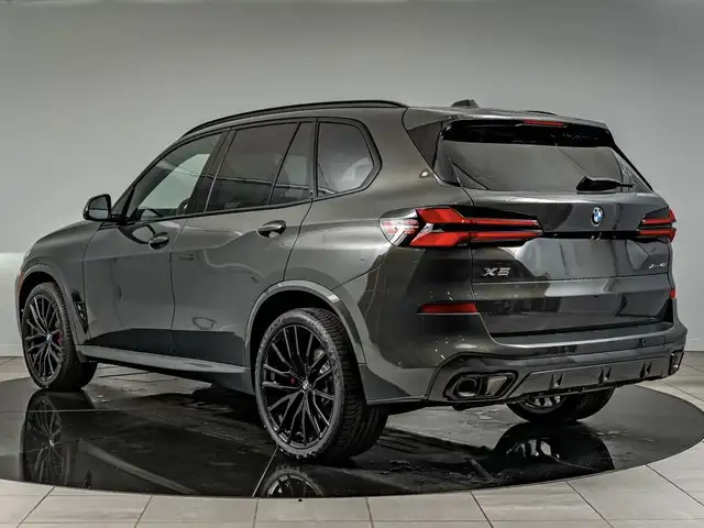 BMW X5 X5 view 4