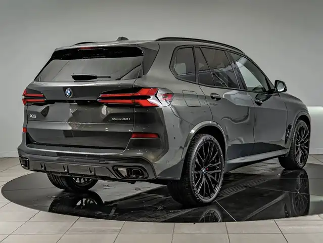 BMW X5 X5 view 6