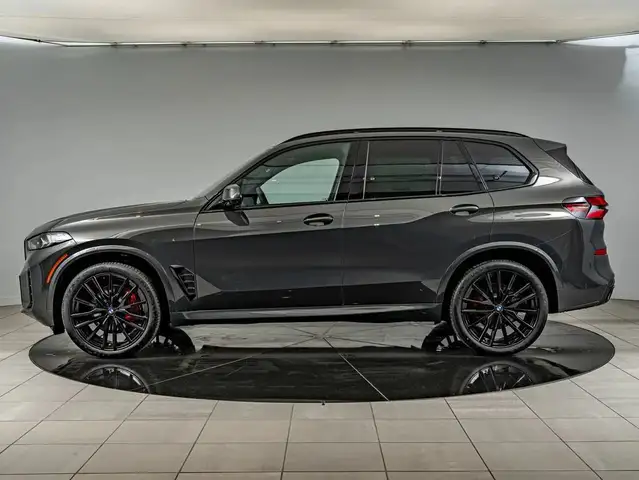 BMW X5 X5 view 8