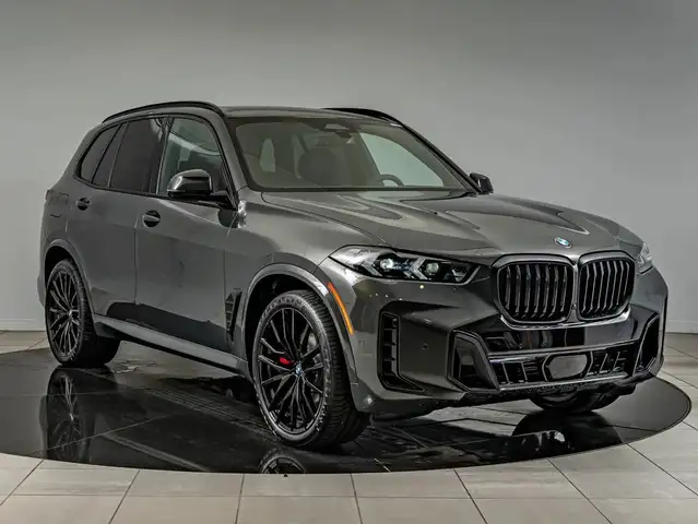 BMW X5 X5 view 2