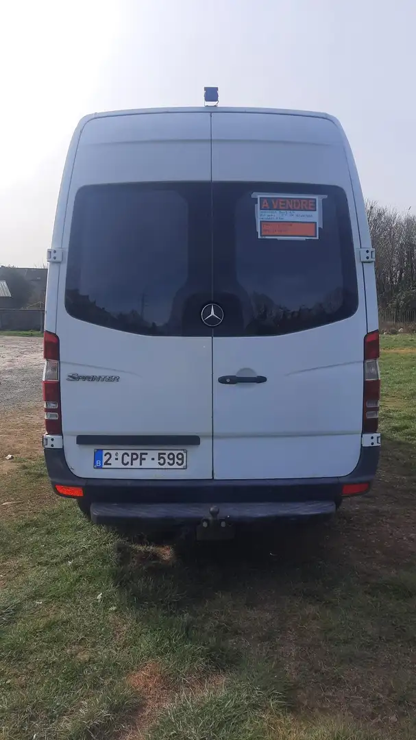 Mercedes-Benz Sprinter SPRINTER 312 TBO D 35S 3.1t Wit - 2