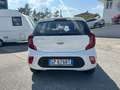Kia Picanto Picanto 1.0 dpi Urban Bianco - thumbnail 4