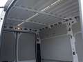 Fiat Ducato Hochr.-Kasten 33 130 L2H2 RS: 3450 mm - thumbnail 10