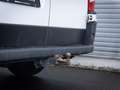 Fiat Ducato Hochr.-Kasten 33 130 L2H2 RS: 3450 mm - thumbnail 9