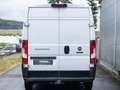 Fiat Ducato Hochr.-Kasten 33 130 L2H2 RS: 3450 mm - thumbnail 4