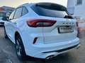 Ford Kuga ST-Line Aut. *Tageszulassung* Weiß - thumbnail 4