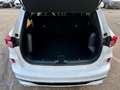 Ford Kuga ST-Line Aut. *Tageszulassung* Weiß - thumbnail 8