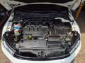 Volkswagen Scirocco Scirocco 2,0 TDI Sport BMT Sport Weiß - thumbnail 8