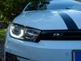 Volkswagen Scirocco Scirocco 2,0 TDI Sport BMT Sport Weiß - thumbnail 5