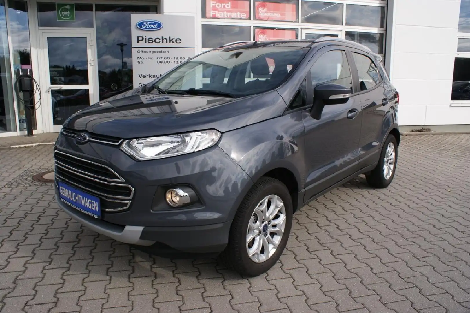 Ford EcoSport Titanium Alu AHK 1.Hd. Gris - 1