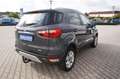 Ford EcoSport Titanium Alu AHK 1.Hd. Gris - thumbnail 4