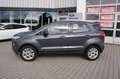 Ford EcoSport Titanium Alu AHK 1.Hd. Gris - thumbnail 2