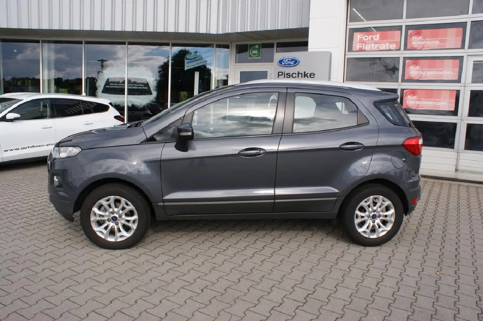 Ford EcoSport Titanium Alu AHK 1.Hd. Gris - 2