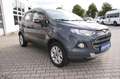 Ford EcoSport Titanium Alu AHK 1.Hd. Gris - thumbnail 5