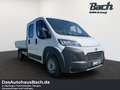 Toyota Proace Max D140PS Prit Doka Work L3 35H MT Wit - thumbnail 2