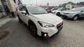 Subaru XV Subaru XV 2,0 Style Navi Weiß - thumbnail 7